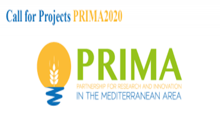 prima EN