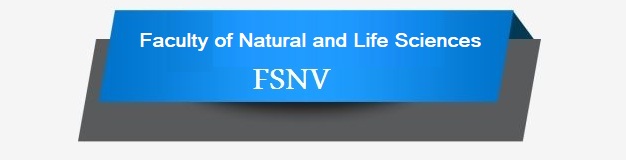 FSNV EN