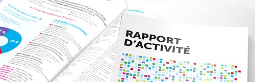 Image rapport dactivité 123