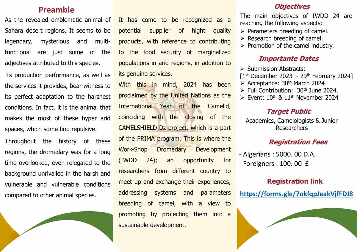 IWDD 24 english p02