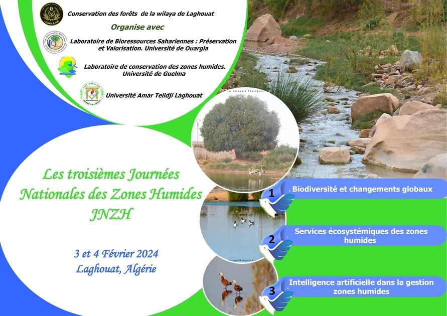JNZH 24