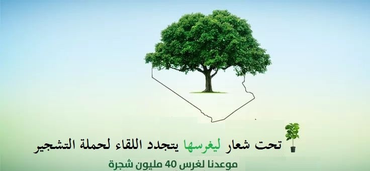 مواصلة عملية التشجير بالجامعة