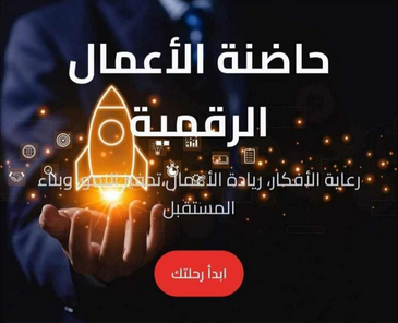 On Bussines Seed social media sites and networks regarding publishing the Digital Business Incubator website 