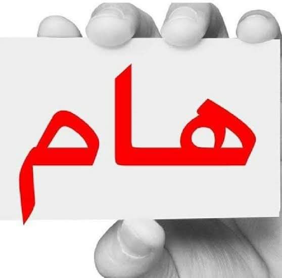 FB IMG 1731787495759