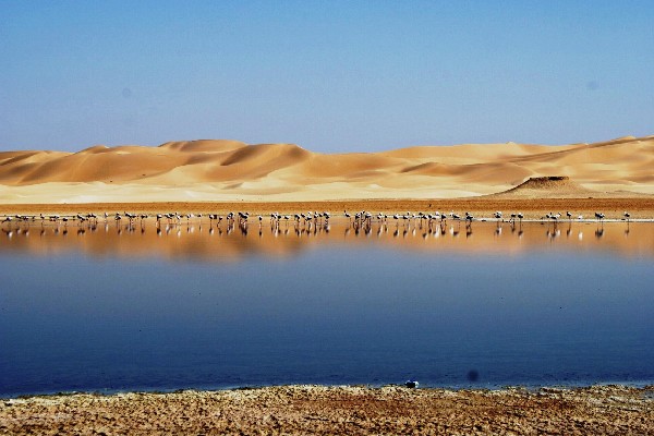 lac 2
