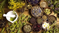 DGRSDT : Plateforme Num&eacute;rique sur les Plantes M&eacute;dicinales