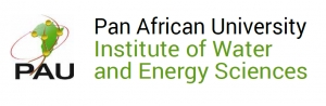 Pan african university institute of water and energy sciences : call for academic staff