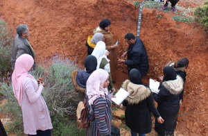 Courses and collective scientific outputs
