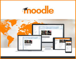 mooodle