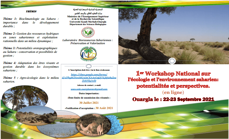 workshop2021 min
